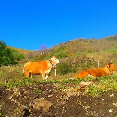 컨트리하우스 Las Casitas De Requeixo