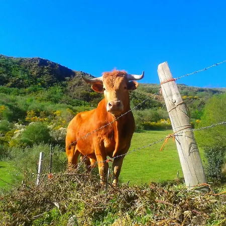 Las Casitas De 컨트리하우스