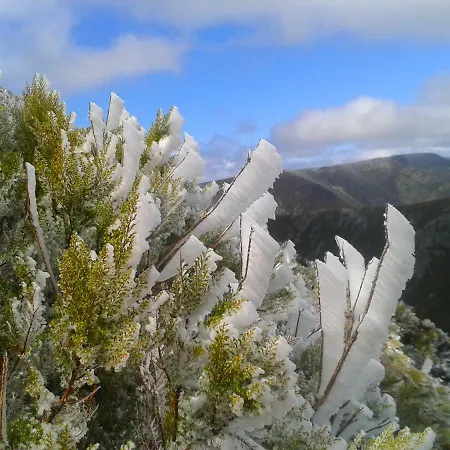 乡村民宿 Las Casitas De