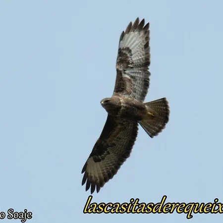 Las Casitas De Requeixo