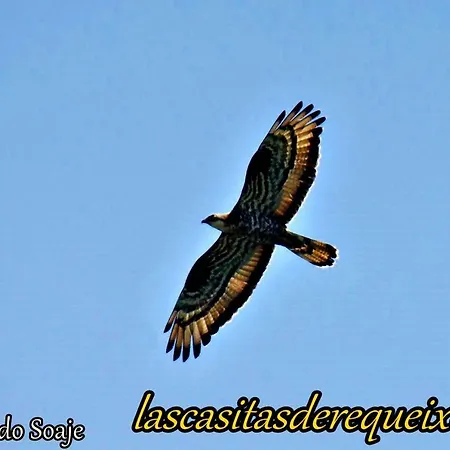 Las Casitas De * Requeixo