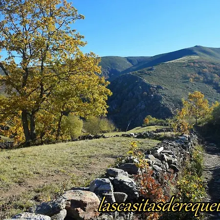 컨트리하우스 Las Casitas De Requeixo