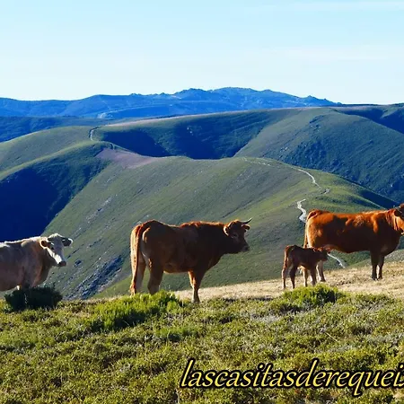 Las Casitas De *