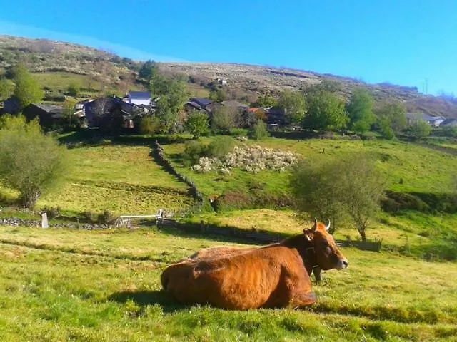 Las Casitas De בית כפרי *