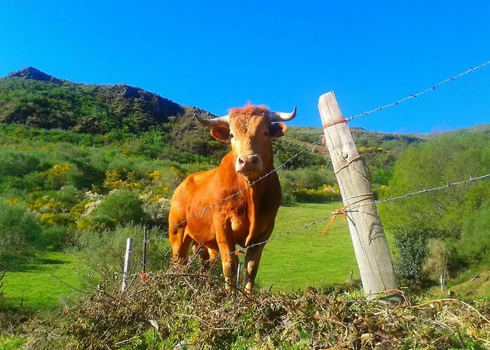 Las Casitas De בית כפרי