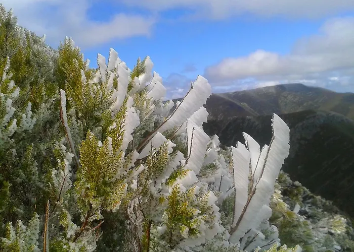 בית כפרי Las Casitas De