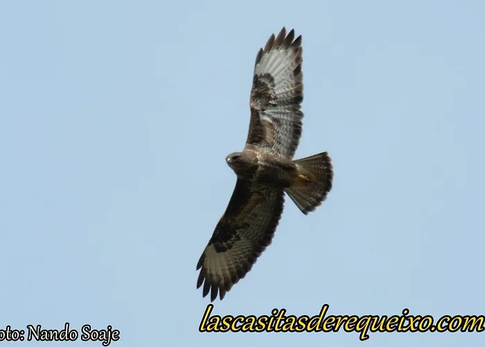 Las Casitas De Requeixo